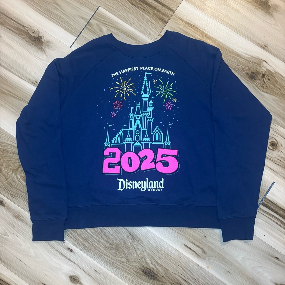 Disney Navy Sweatshirt with Colorful Fireworks